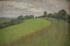 View Of California Hilltop by William Wendt