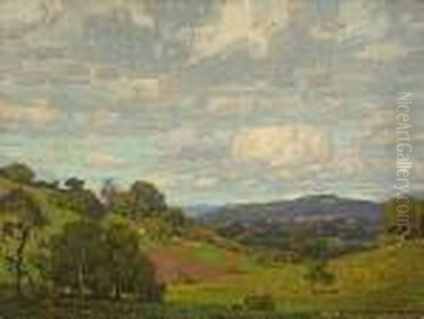 California Landscape - view 1