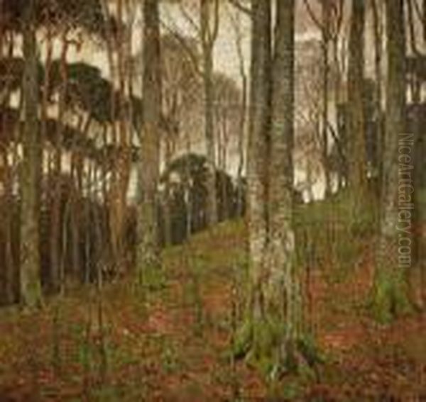 Forest Interior - view 1