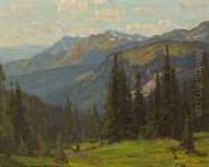 Sierra Landscape