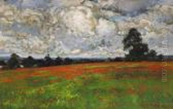 Clouds Over A Field Of Poppies - view 1