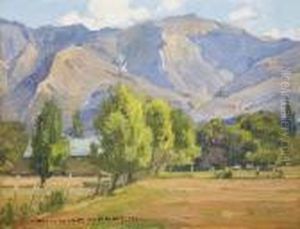 Meadow And Hills