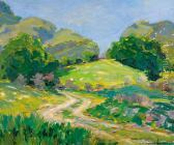 Foothills - view 1