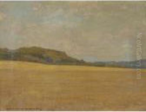 Landscape - view 1