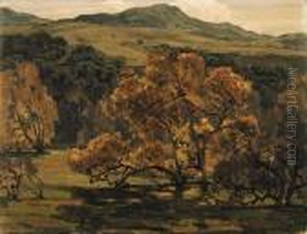 Golden Days, Orofre Canyon - view 1
