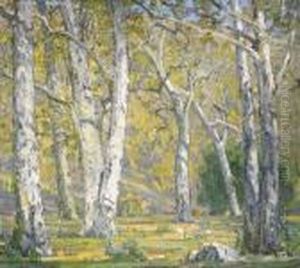 The Old Oak Grove