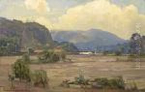 Valley Wash In Spring