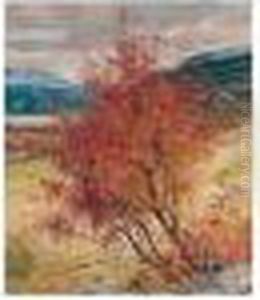 Autumn Landscape Autumn Landscape