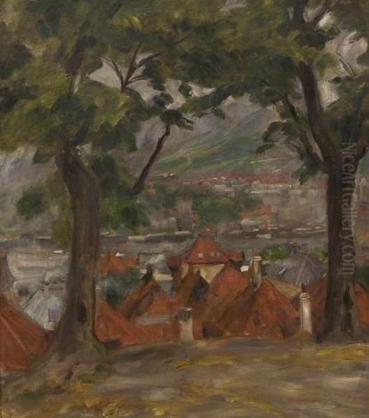 Vagen In Bergen Fromthe Convent - view 1