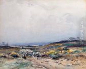The Pool Of Light; To New Pastures by David West