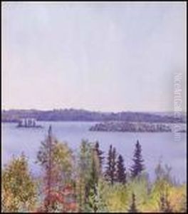 Lake Of The Woods Lake Of The Woods