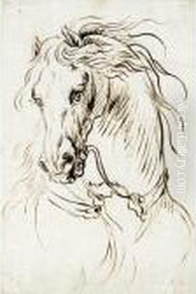Study Of A Cavalry Horse - view 1