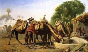 Camels at a Watering Trough