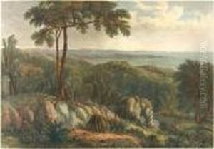 Views Of Australian Scenery