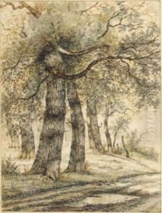 Trees Along A Road by George Pieter Westenberg