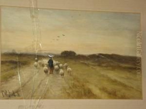 Shepherd And Flock On A Country Lane by Cornelis I Westerbeek