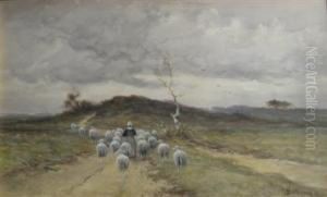 Shepherdess With Sheep by Cornelis I Westerbeek