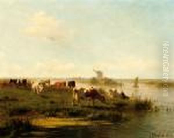 Cows Near The Water - view 1