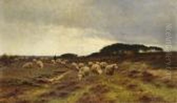 Heidelandschaft Mit Schafer Und Schafherde - view 1
