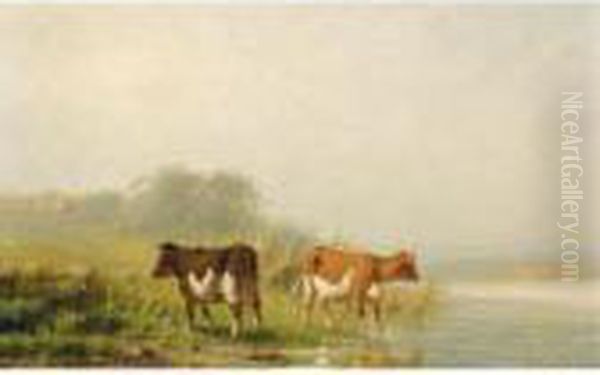 Cows Near The Waterside - view 1