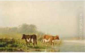 Cows Near The Waterside Cows Near The Waterside