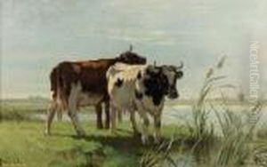 Zwei Weidende Kuhe Am Kanal. by Cornelis I Westerbeek