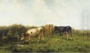 Cattle In A Meadow Cattle In A Meadow