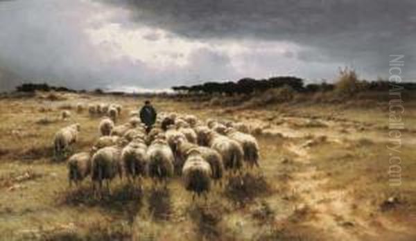 A Shepherd And His Flock - view 1