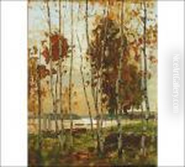 Scenery From Aland - view 1