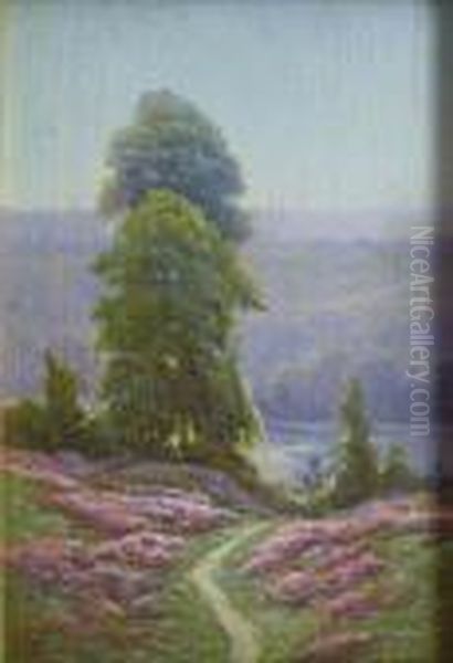 Spring Landscape With Pathway And River In Distance - view 1