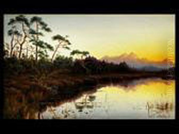 Voralpenlandschaft - view 1