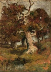 Old Oaks by Max Weyl
