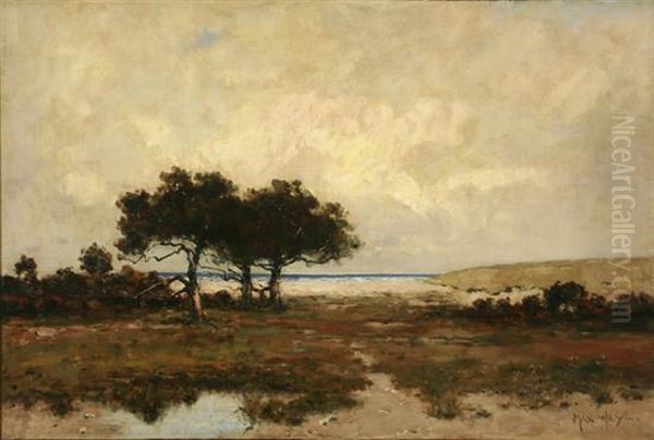 The Potomac Marshlands - view 1