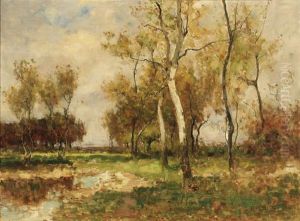 Woodland Landscape Woodland Landscape