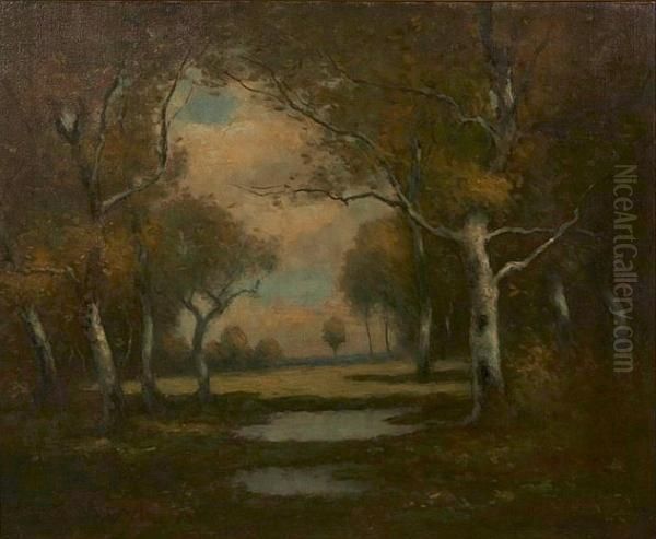 Wooded Landscape - view 1