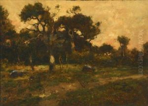 A Sunset Landscape A Sunset Landscape