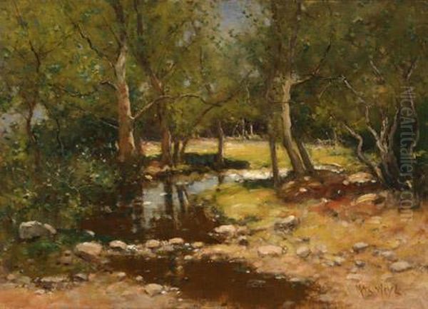 A Woodland Stream - view 1