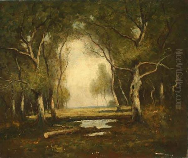 A Woodland Clearing - view 1