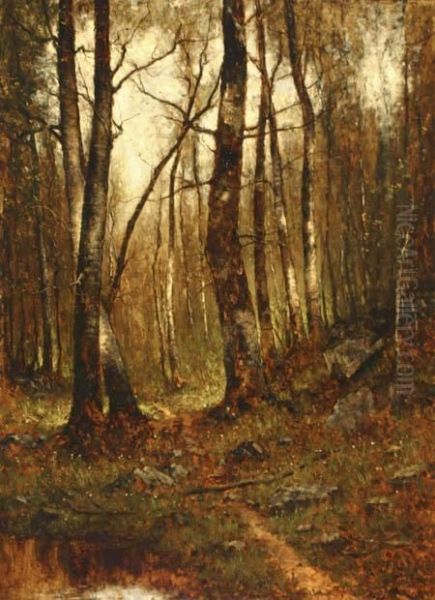 Wooded Landscape - view 1