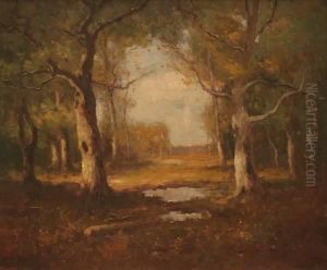 Rock Creek Park by Max Weyl