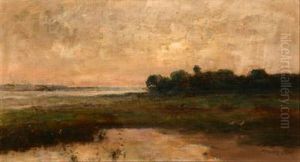Potomac Marshlands At Sunset by Max Weyl