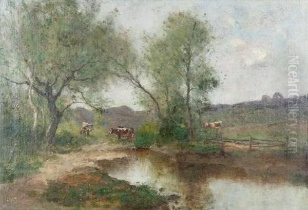 Cows Along Stream - view 1