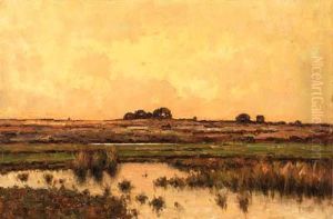 Evening Over The Marshes