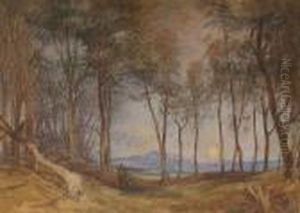 Solitude thumbnail