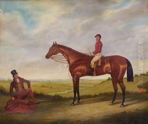 Jockey Auf Seinem Rennpferd In Weiter Landschaft