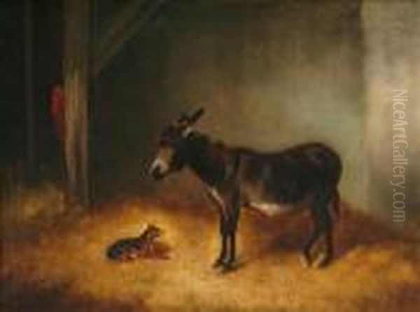 Donkey And Dog - view 1