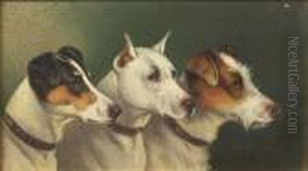 Three Terriers - view 1