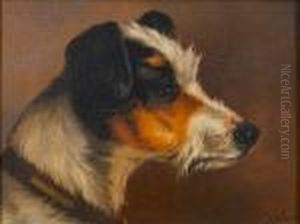 Head Of A Terrier