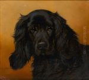 A Cocker Spaniel by John Arnold Wheeler