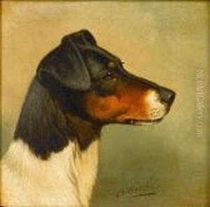 Head Studies Of Terriers by John Arnold Wheeler